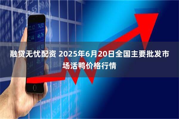 融贷无忧配资 2025年6月20日全国主要批发市场活鸭价格行情
