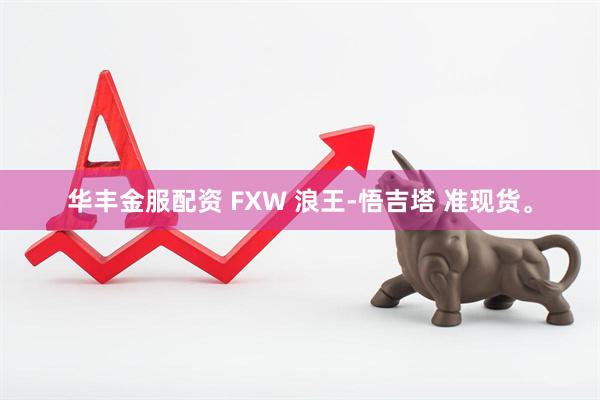华丰金服配资 FXW 浪王-悟吉塔 准现货。