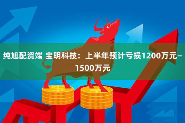 纯旭配资端 宝明科技：上半年预计亏损1200万元—1500万元