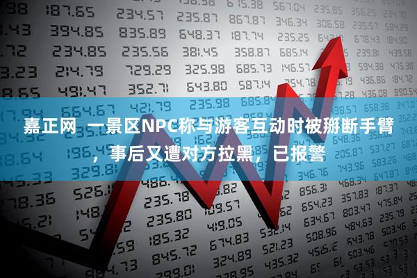 嘉正网  一景区NPC称与游客互动时被掰断手臂，事后又遭对方拉黑，已报警
